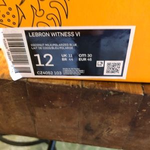Lebron shoe in a box used but as pics show they are in great shape.